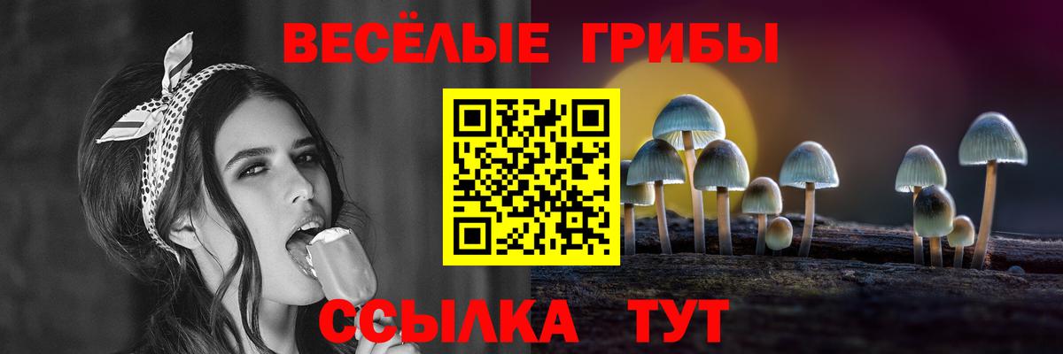 Богородск  Псилоцибиновые грибы мухоморы  Вход с VPN 